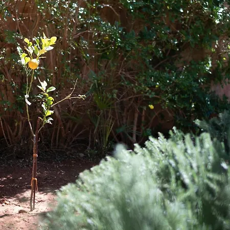 Premiere Immersa Nel A 别墅 卡斯泰卢佐