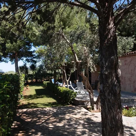 Premiere Immersa Nel A *